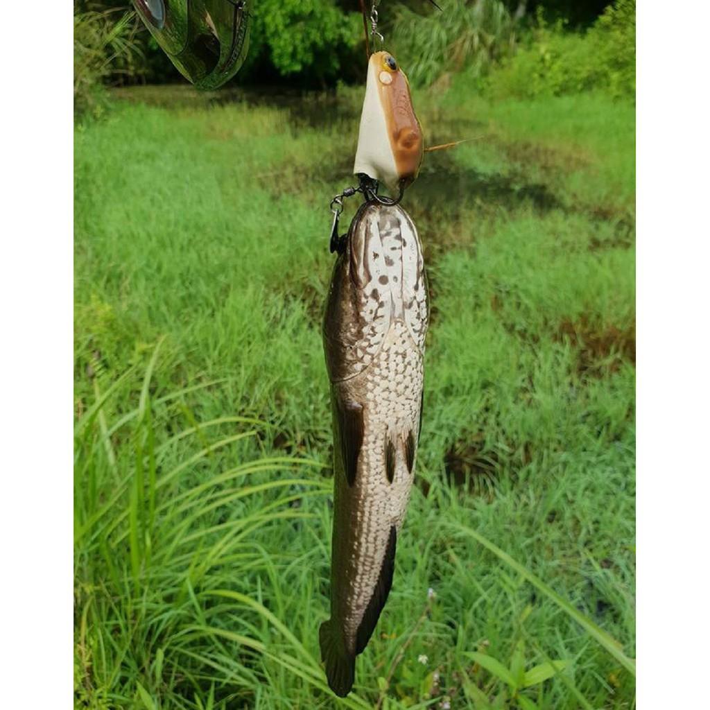 Mồi Câu Cá Lóc Frog Toon V1 Thái Lan chuyên săn cá lóc -SANAMI FISHING