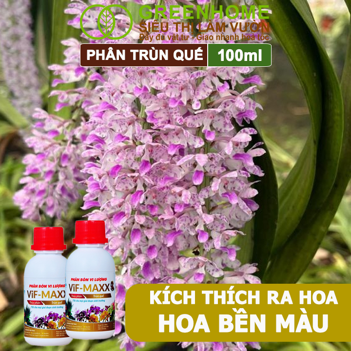 Phân Trùn Quế Greenhome, Lavamix, 100ml, Hữu Cơ Sinh Học, Thuỷ Phân Đậm Đặc, Bón Rau, Hoa, Kiểng