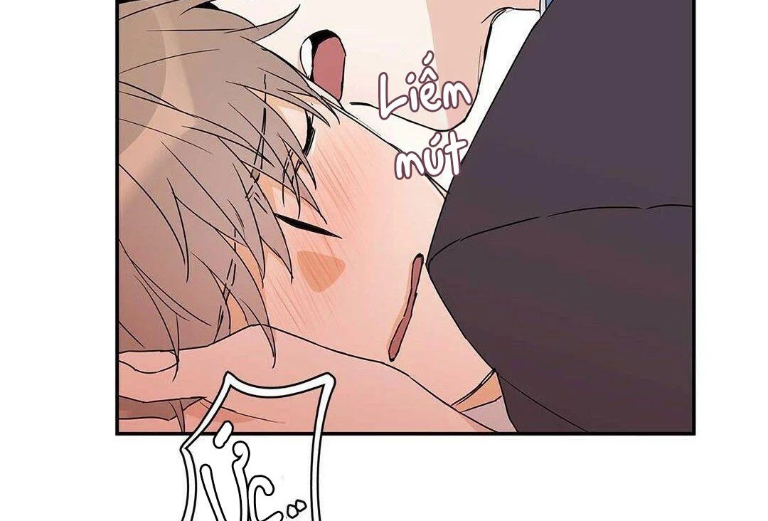 guide cấp b chapter 8 158