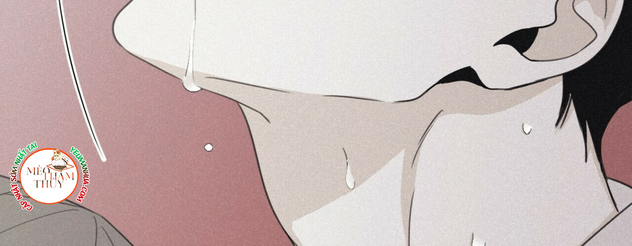 chiếu tướng chapter 44 126