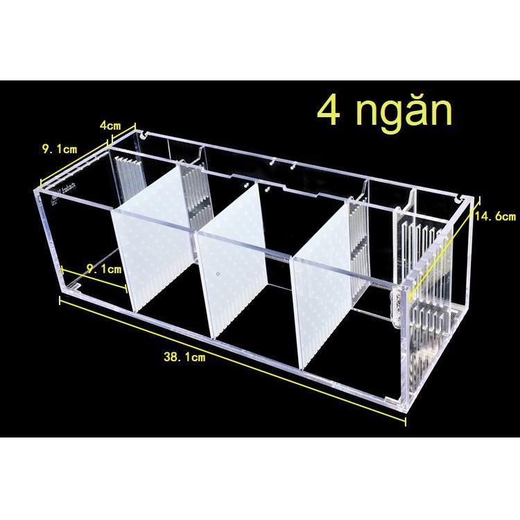 Hộp acrylic nuôi cá chọi betta 4 ngăn trong suốt