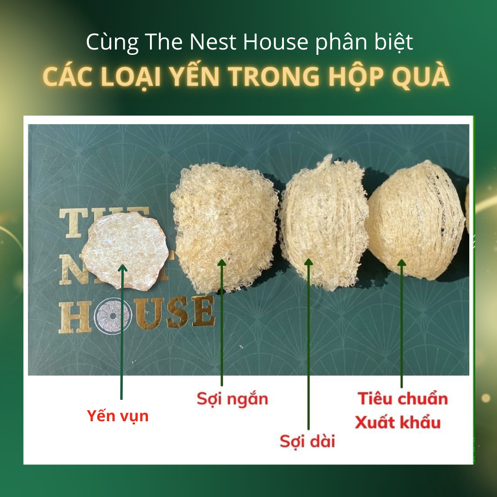 Hộp Quà Tặng Yến Sào Tết, Trung Thu The Nest House