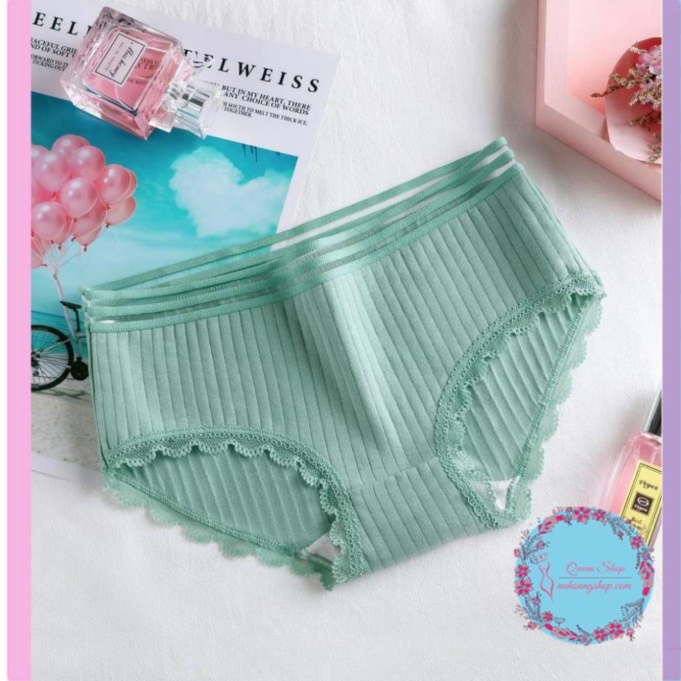 Quần Lót Cotton Tăm Cạp Viền Cao Cấp Quần lót nữ cotton co dãn mềm mịn DL108