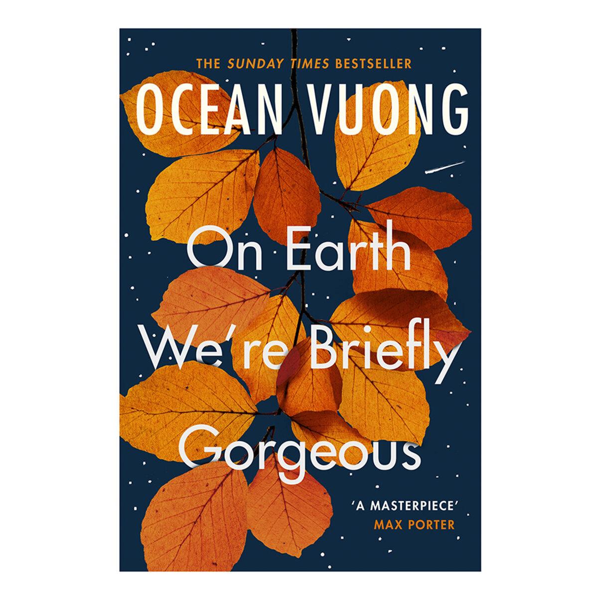 Tiểu thuyết đương đại tiếng Anh -  On Earth We're Briefly Gorgeous