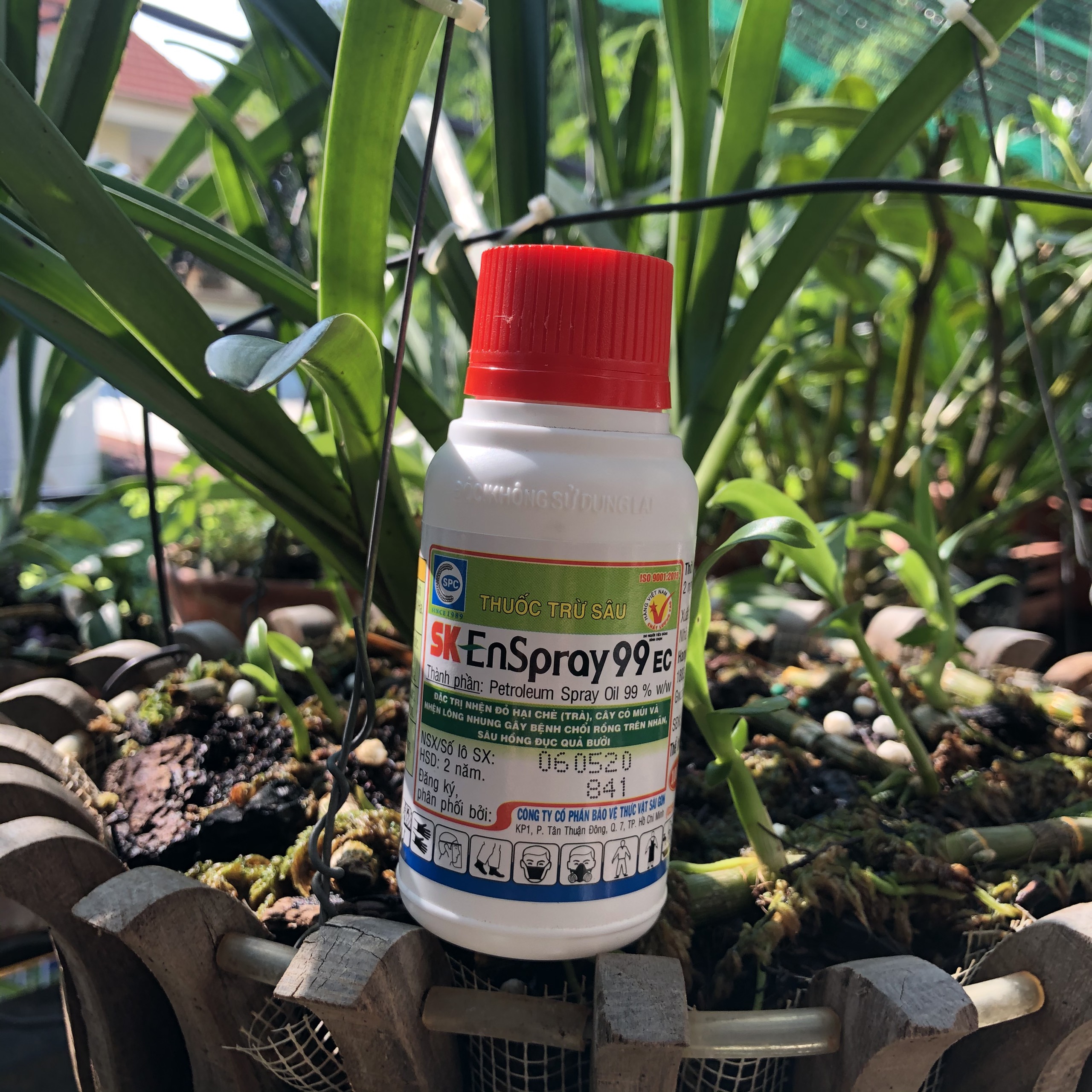 DẦU KHOÁNG SK EnSpray 99EC Đặc trị nhện đỏ cồn trùng