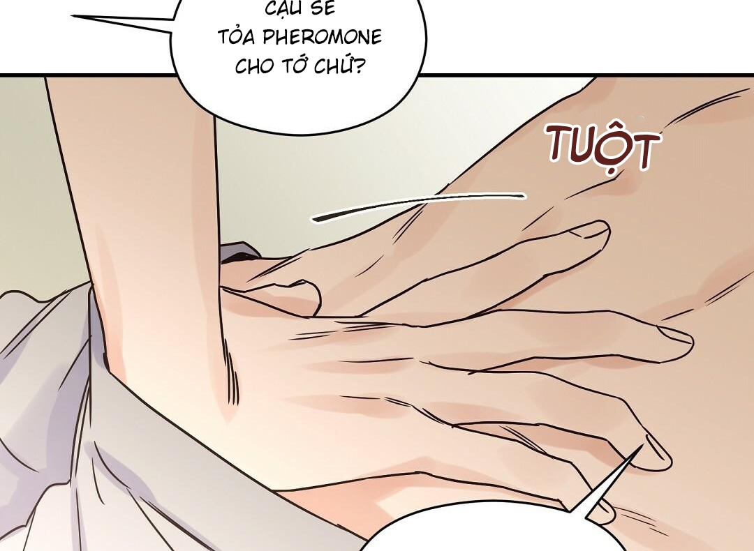 phức cảm tự ti của omega chapter 30 136