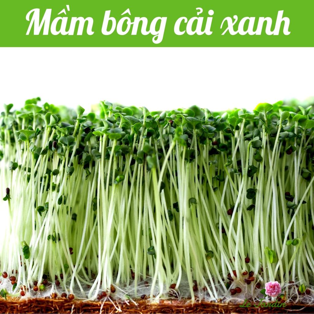 Hạt giống Rau Mầm Bông Cải Xanh - RẤT DỄ TRỒNG