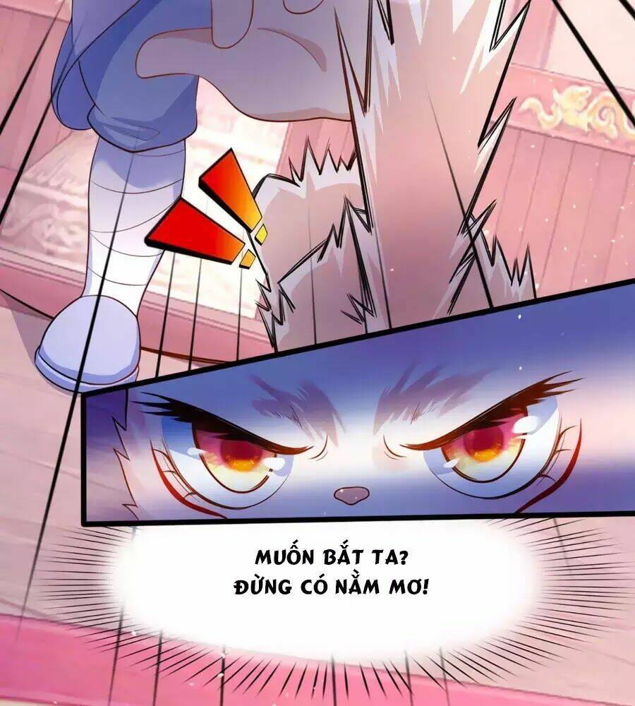 dưỡng thú vi phi chapter 4 68