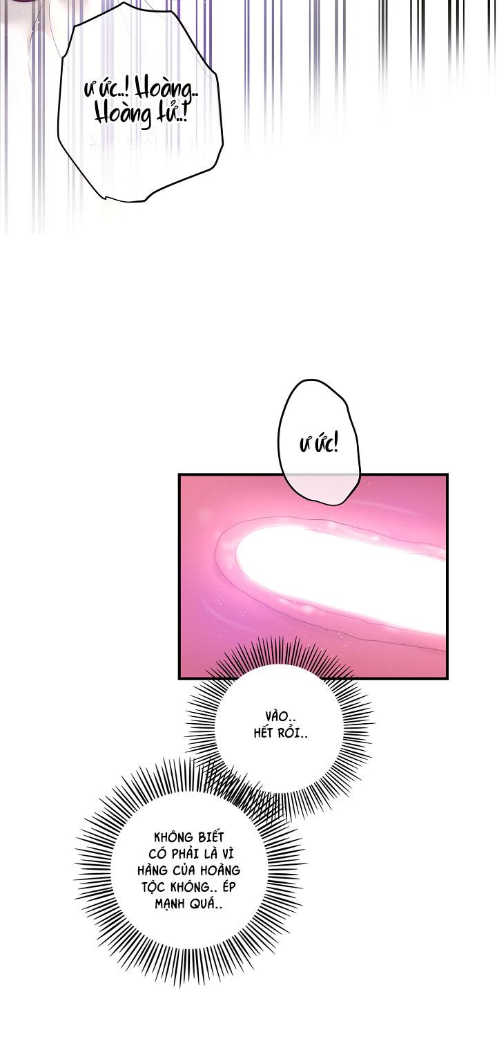 lọ lem phiên bản bl chapter 11 12