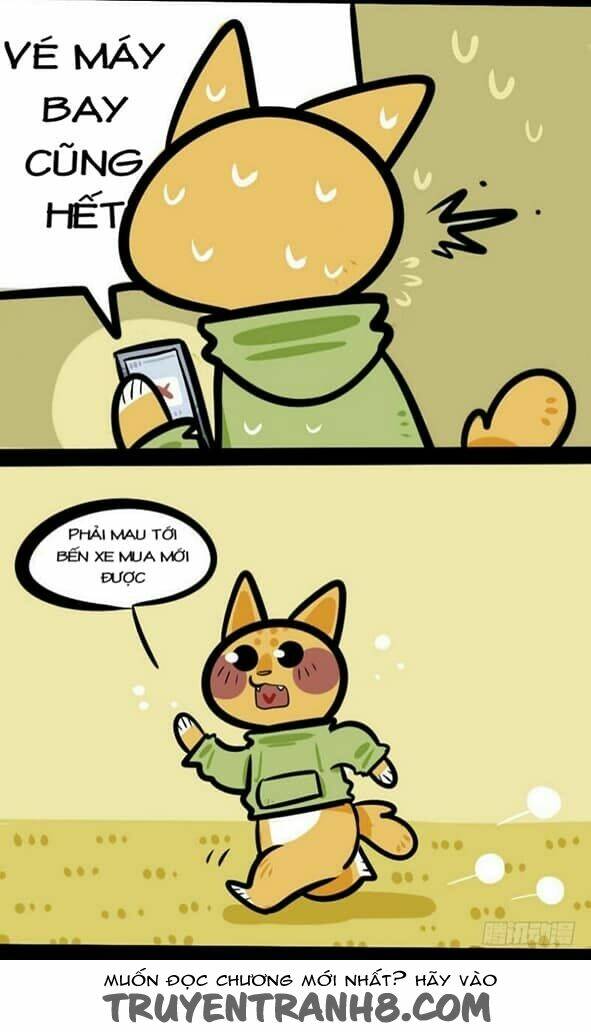 đời không như mình tưởng chapter 5 4