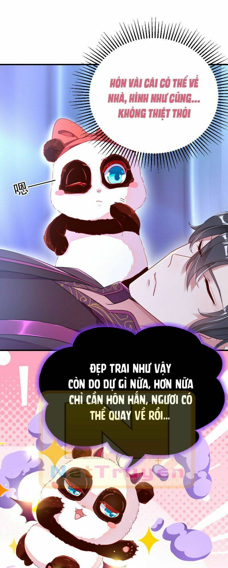 thiên thần gấu trúc muốn được ôm chapter 29 6