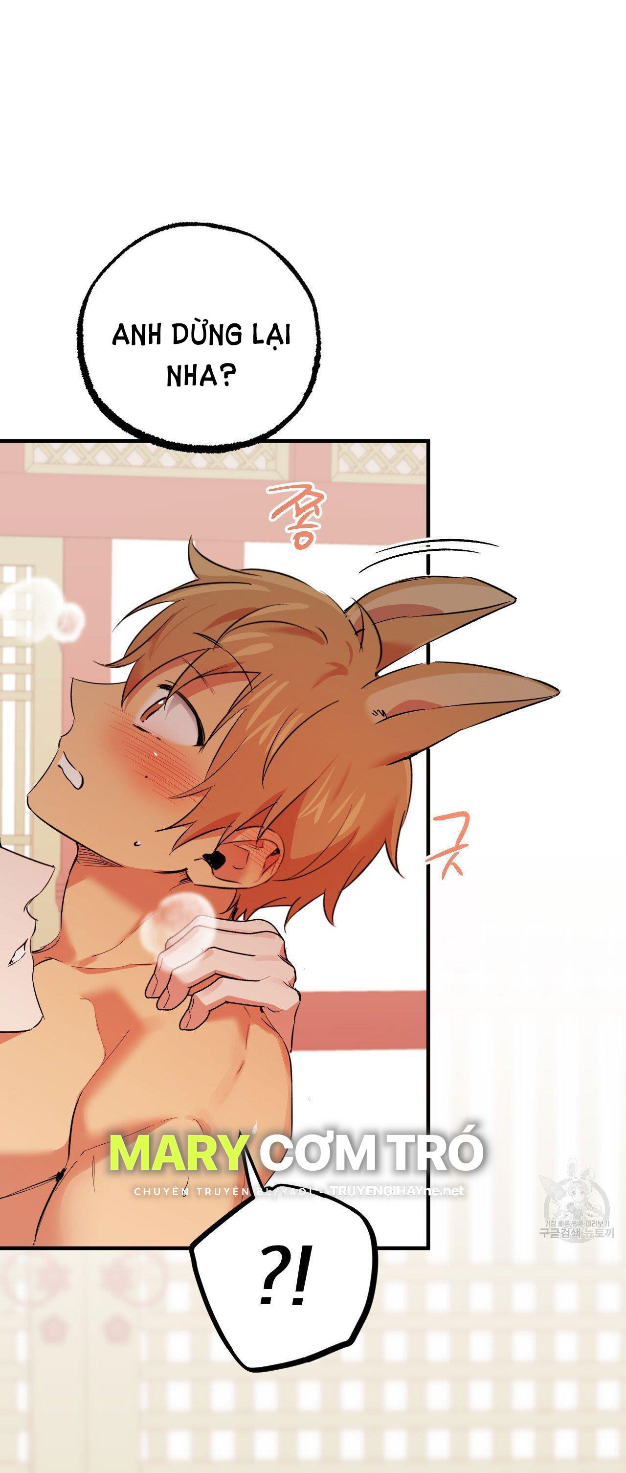 những chú thỏ của hapypy chapter 63.2 31