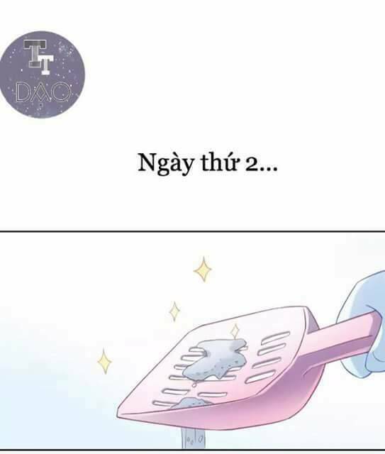 thị hoang chi thần chapter 6 52