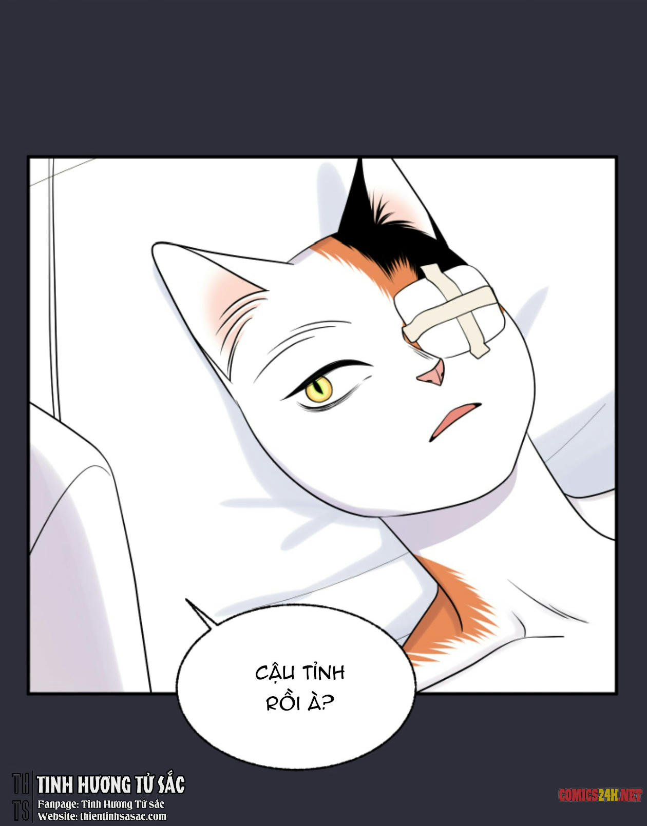 dự án xanh chapter 24 80