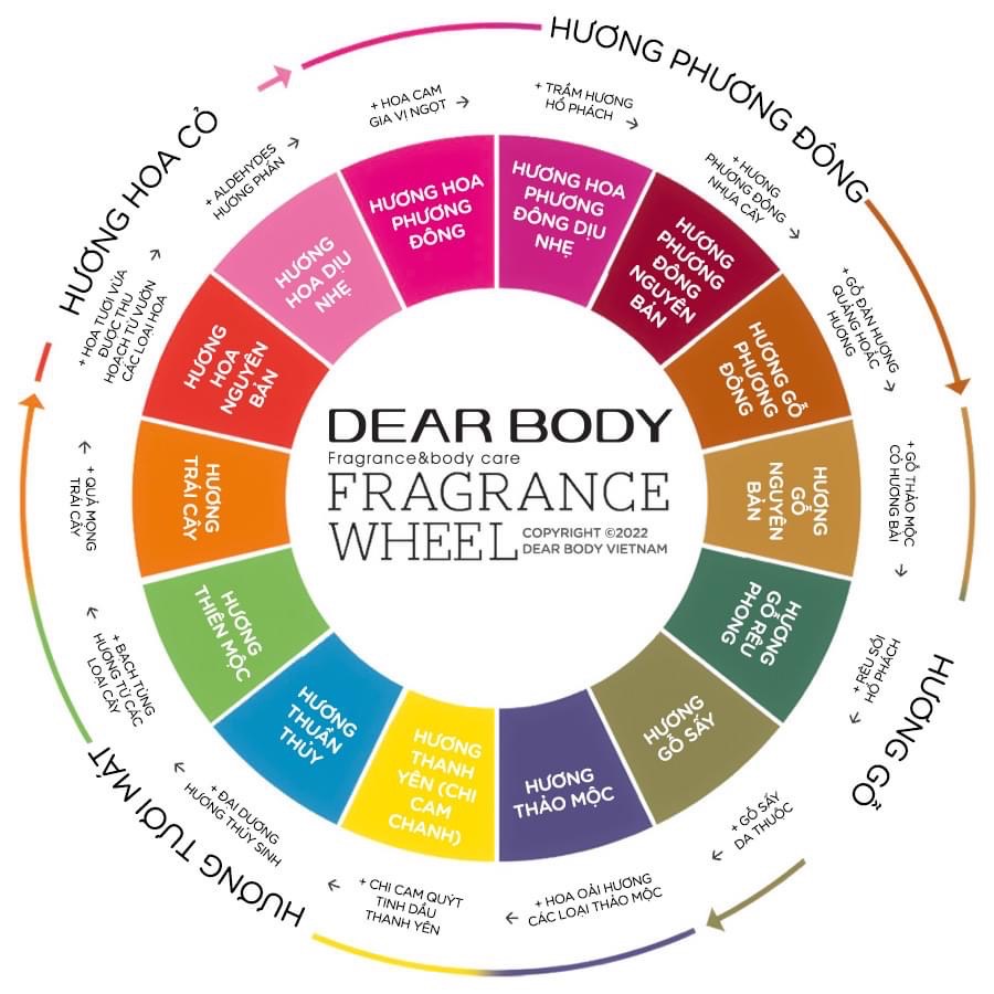 Lăn Khử Mùi DEAR BODY 50ml - Lăn Nách - Khử Mùi Hôi Dưới Cánh Tay - Điều Tiết Mồ Hôi - Không Vàng Áo - Ko Thâm Nách - Lưu Hương 48h