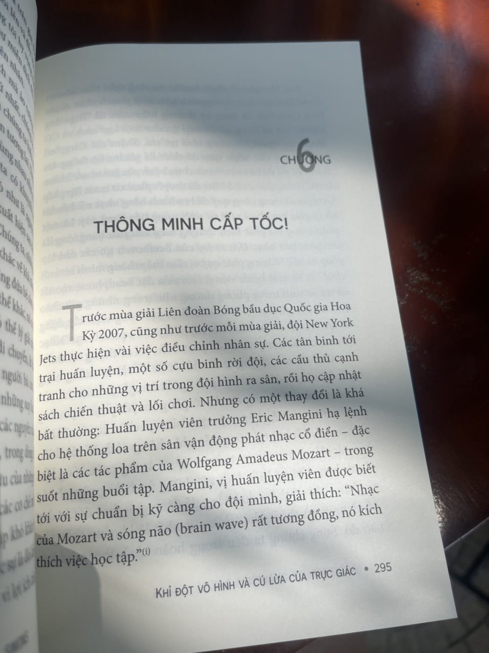 KHỈ ĐỘT VÔ HÌNH và CÚ LỪA CỦA TRỰC GIÁC – New York Bestseller – Phuongnambook