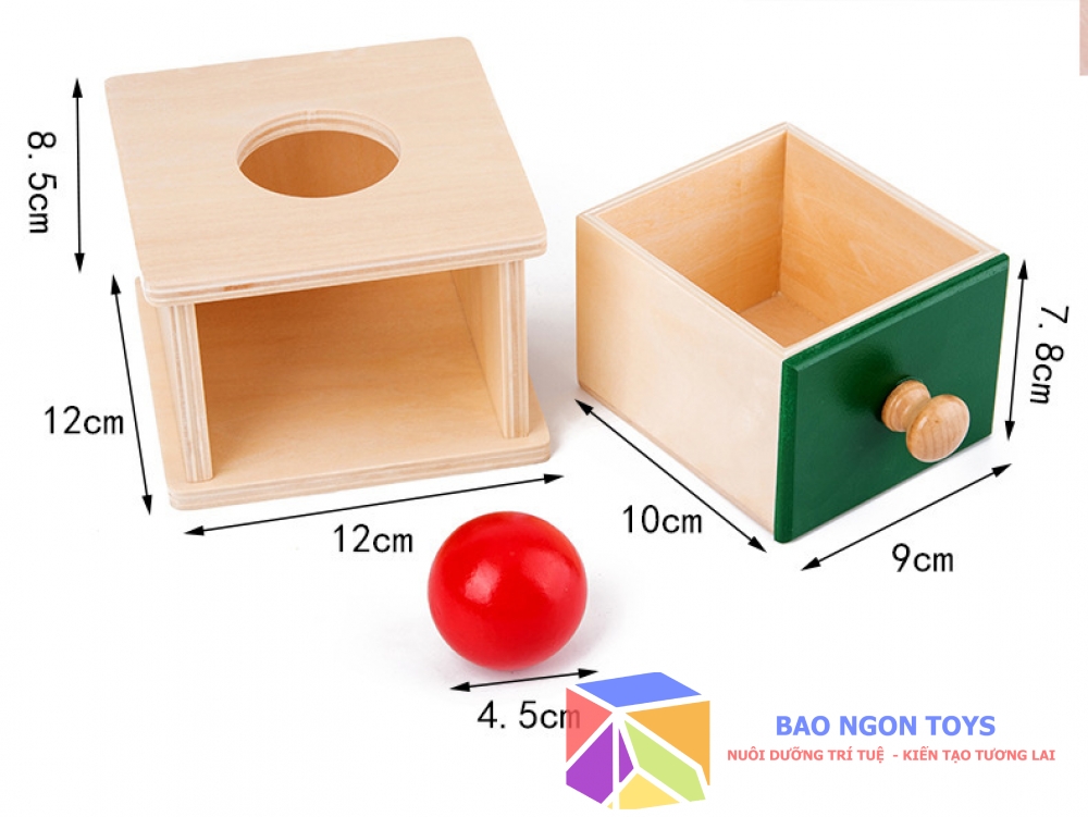 HỘP THẢ BÓNG MONTESSORI - BAO NGON TOYS - DG72