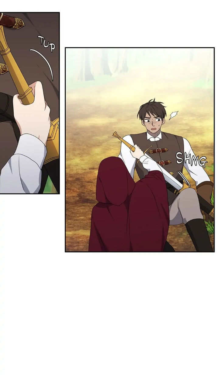 công chúa hai mặt chapter 17 40