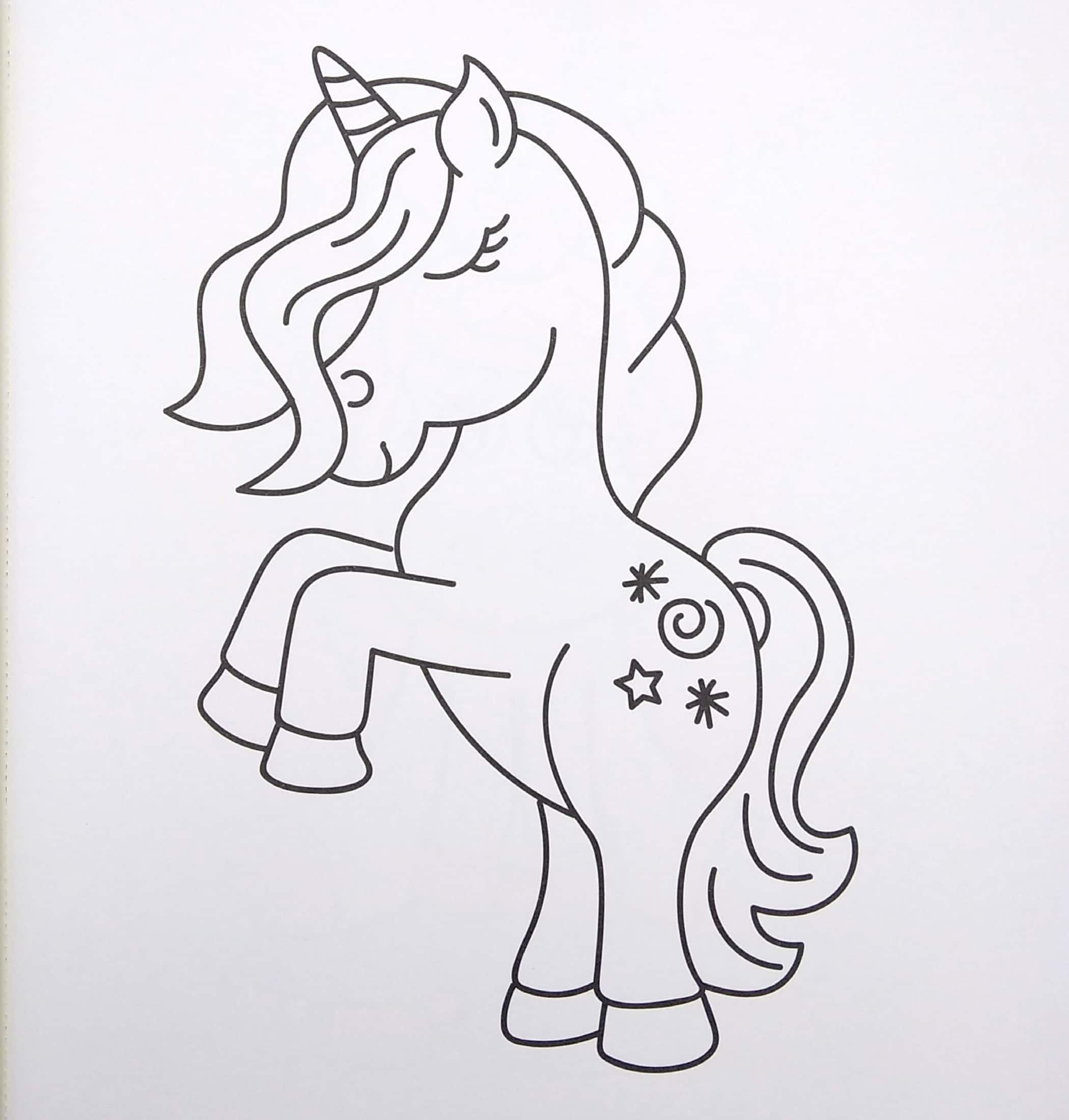 Unicorn Copy Colour