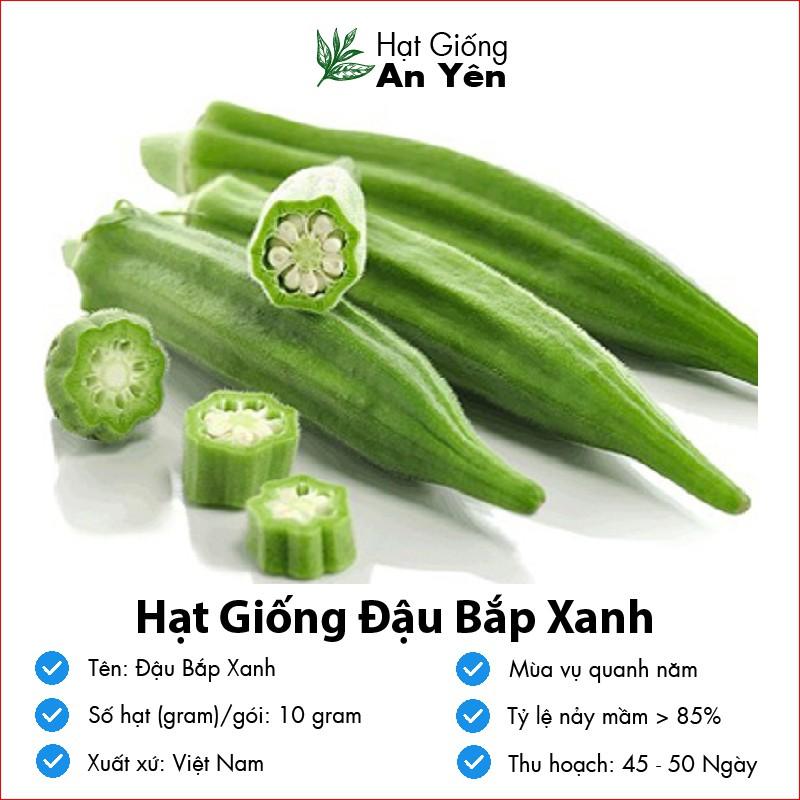 Hạt giống Đậu Bắp Xanh Cao Sản thu hoạch sớm, dễ trồng, nảy mầm cao, sinh trưởng khoẻ