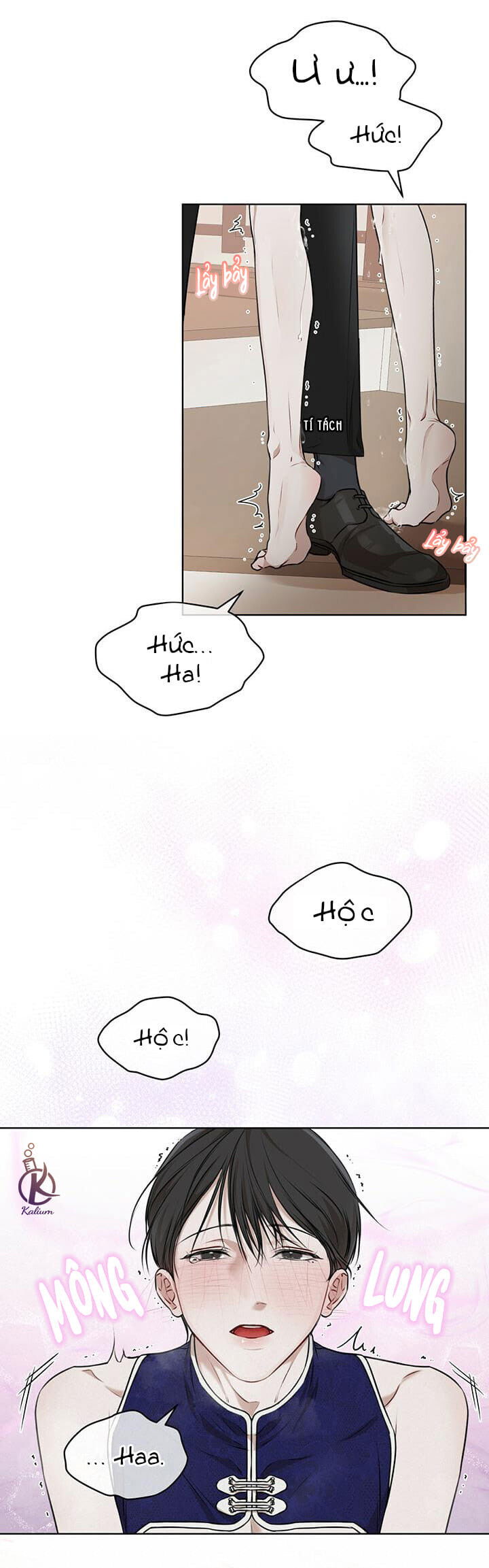 hình thái khởi sinh chapter 27 12