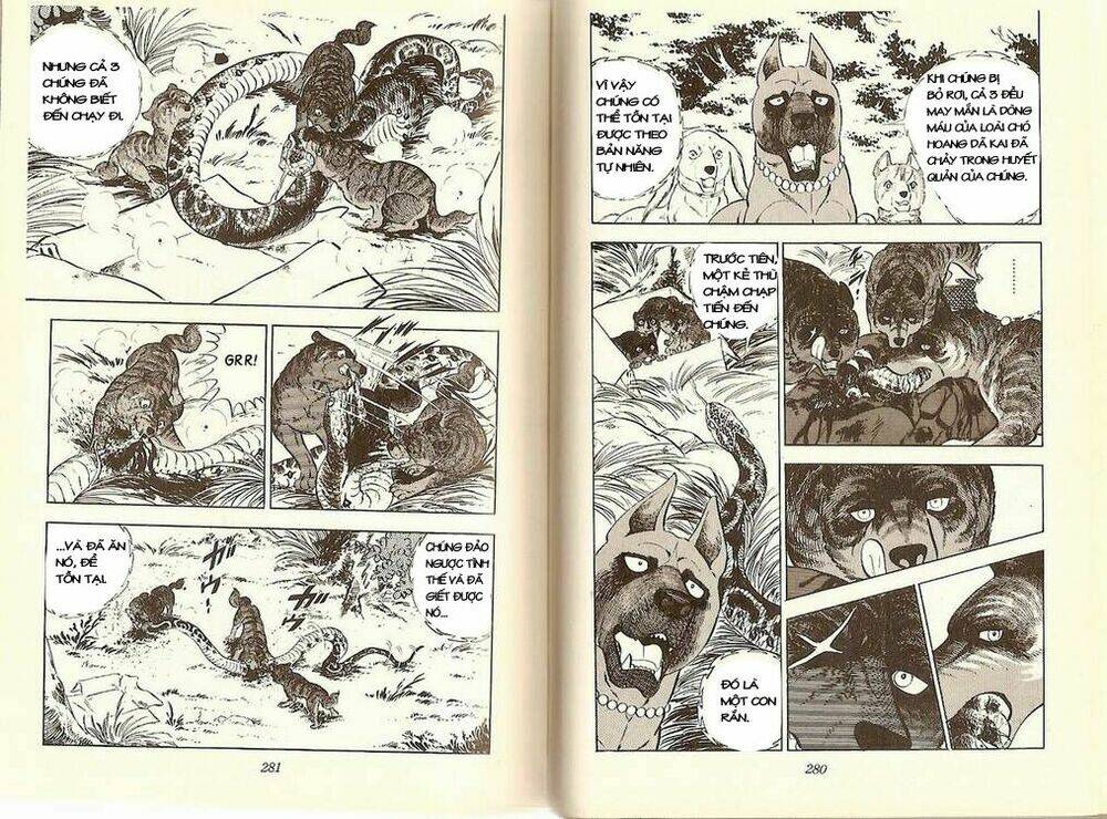 chú chó có nghĩa - ginga nagareboshi gin chapter 12 7