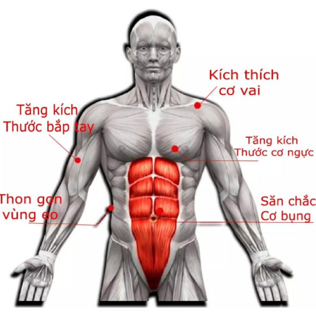 Bánh Lăn Tập Cơ Bụng Một Bánh Cao Cấp Con Lăn ABS