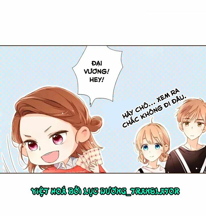 Tình yêu là màu hoa anh thảo chapter 29.1 4