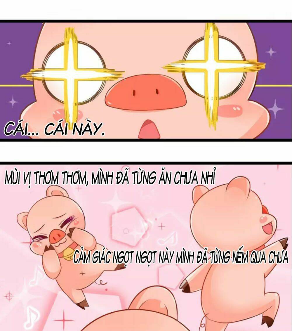 đệ tử của ta là heo chapter 4 20