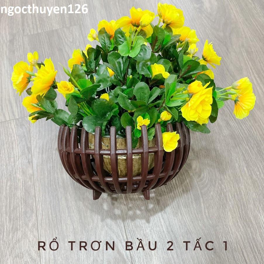 Bộ 5 chậu trồng lan bầu nhựa dày giả gỗ màu nâu 21x11cm Tại HCM