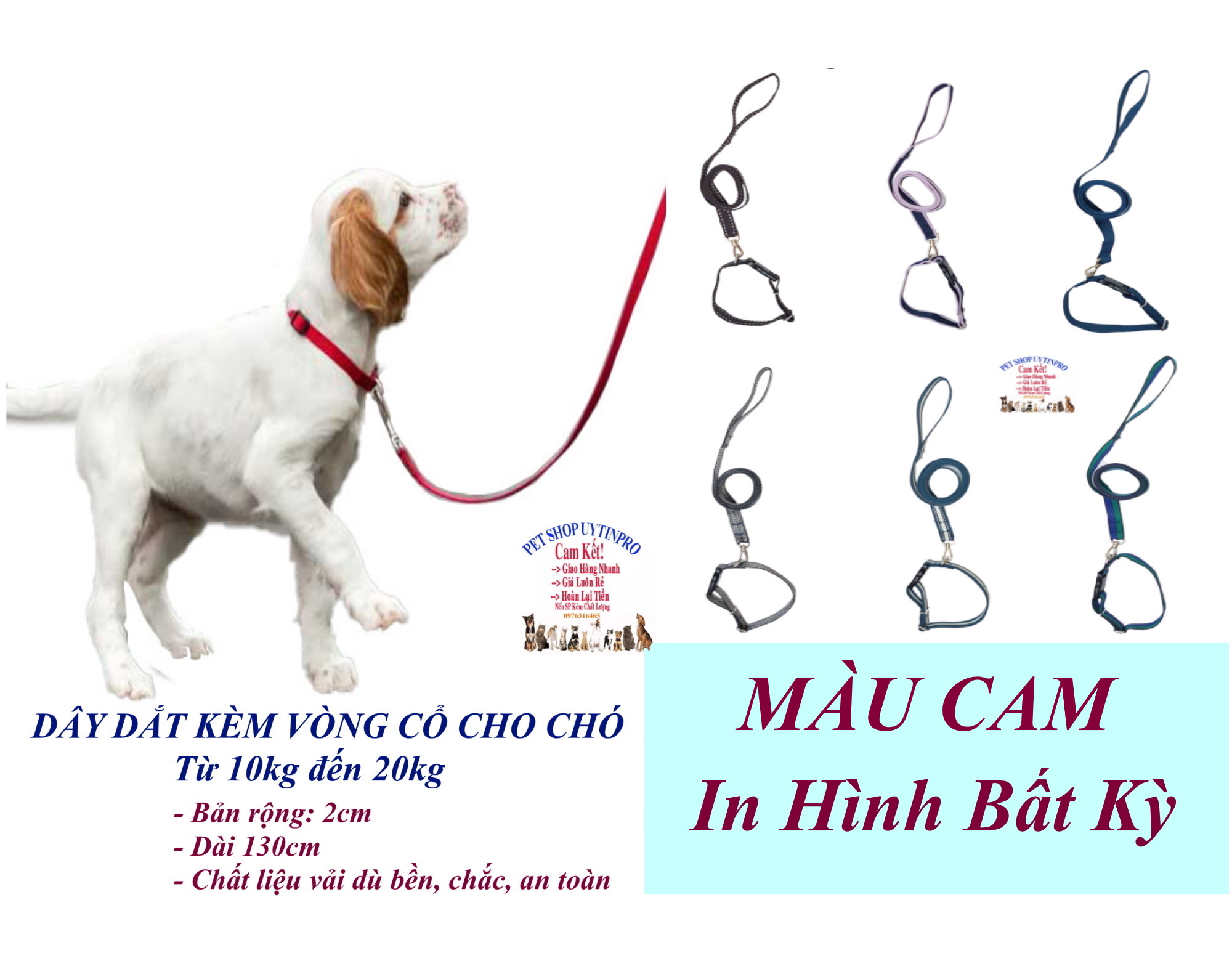 Dây dắt kèm vòng cổ cho Chó Mèo từ 10kg đến 20kg Bản rộng 2cm Chất liệu dù, Bền đẹp, Chắc chắn, An toàn cho thú cưng