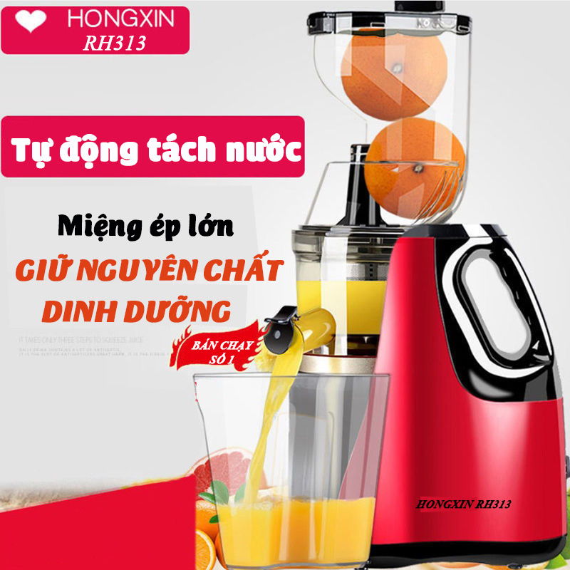 Máy ép hoa quả rau củ tốc độ chậm RH-313 cỡ lớn ép cả quả giữ nguyên chất dinh dưỡng mẫu mới nhất