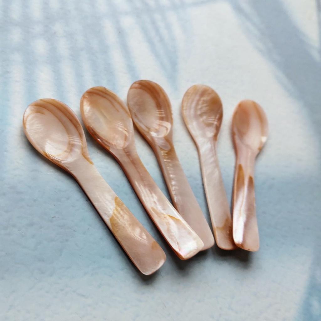 Thìa Trai Hồng 10cm Xúc Trứng Cá Hồi, Trứng Cua, Thìa Trai Tự Nhiên Chụp Ảnh Decor