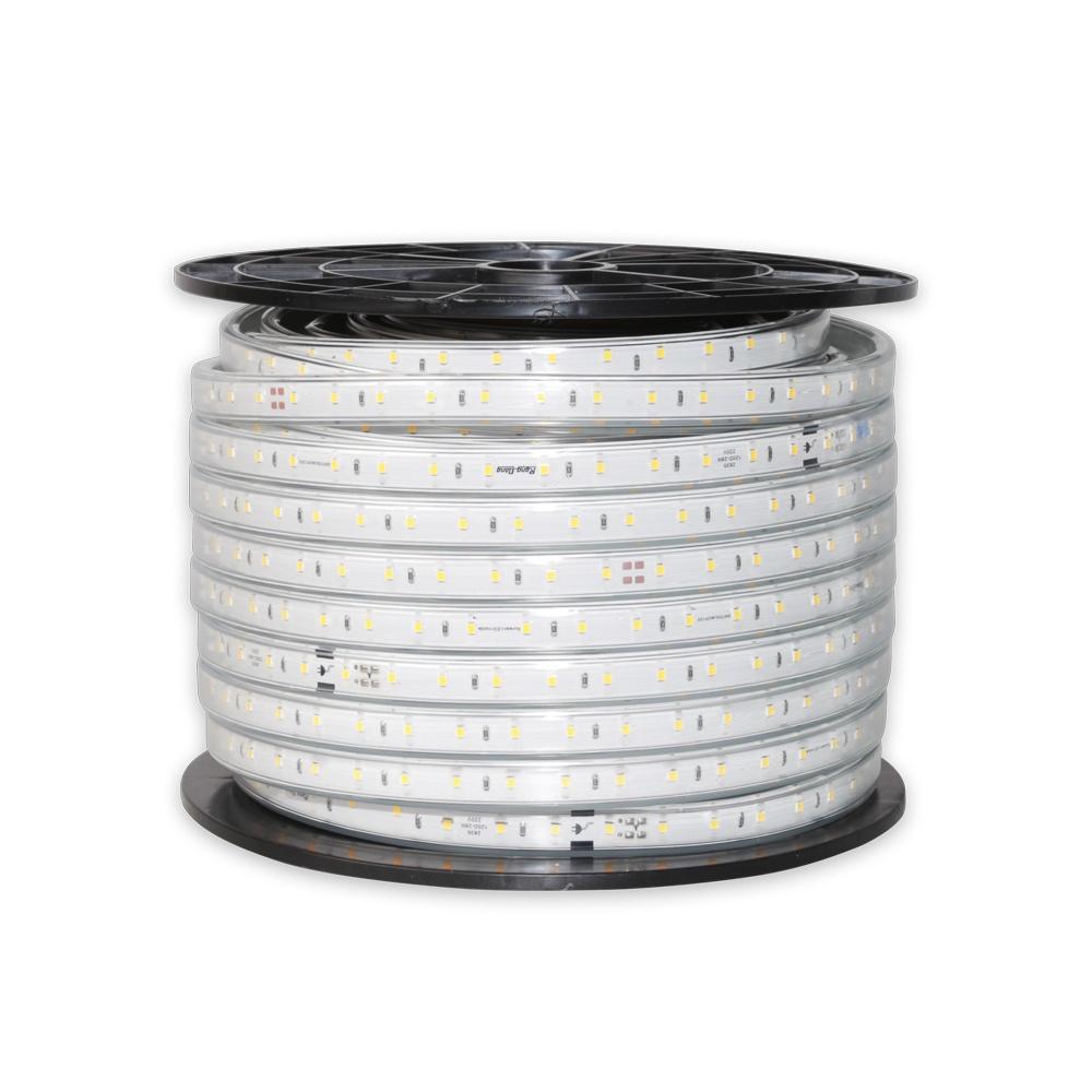Đèn Led dây chiếu sáng cao cấp Rạng Đông - Giá bán lẻ theo từng mét