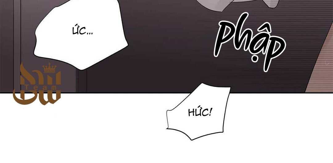 guide cấp b chapter 41 149