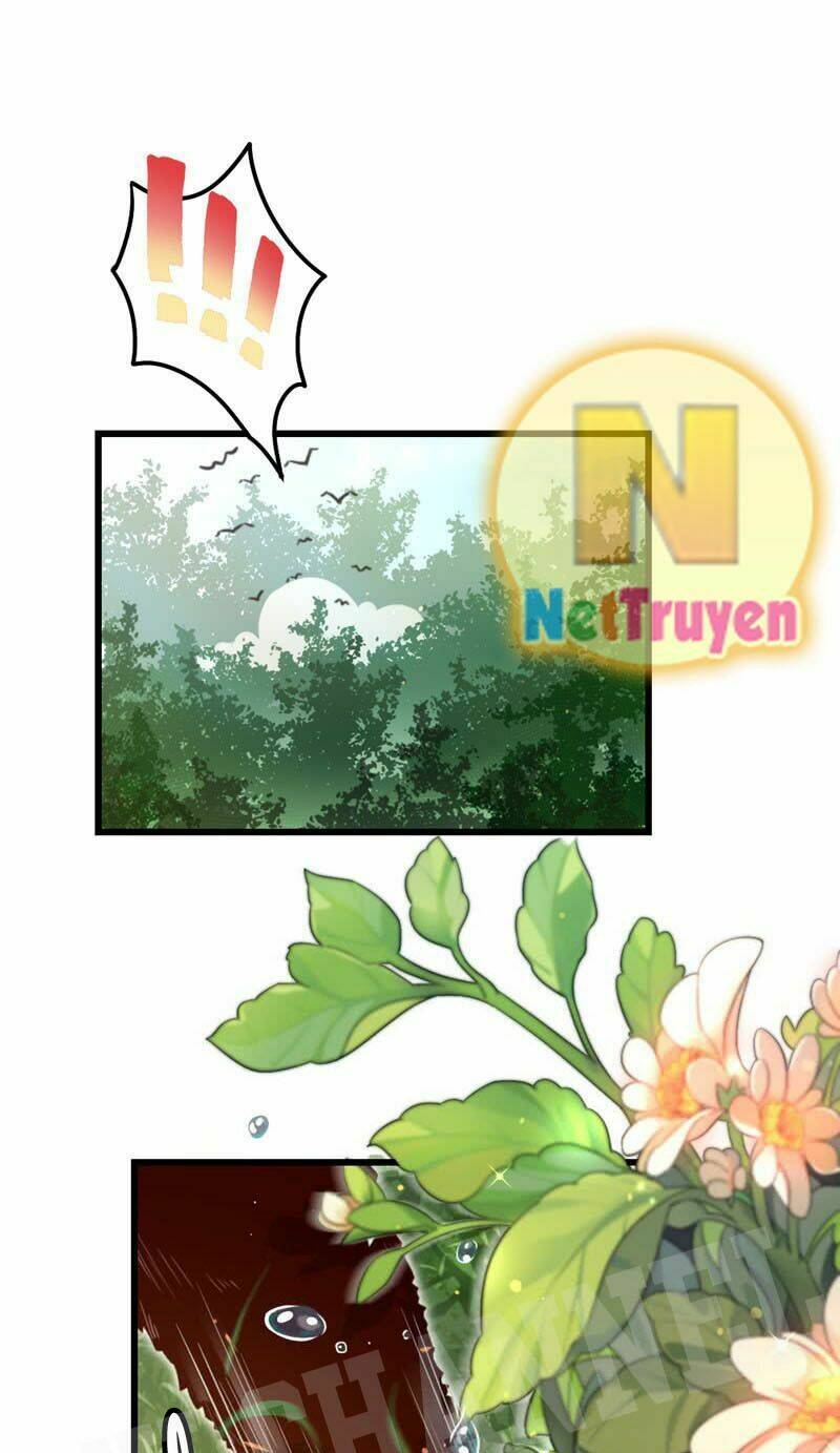 thiên thần gấu trúc muốn được ôm chapter 3 4