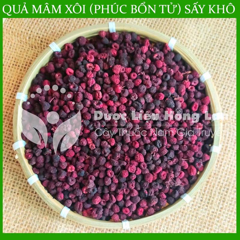 100G Phúc Bổn Tử (Quả Mâm Xôi) sấy khô thượng hạng loại 1