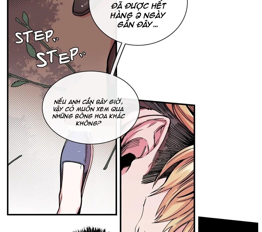 s flower chapter 8.1 27