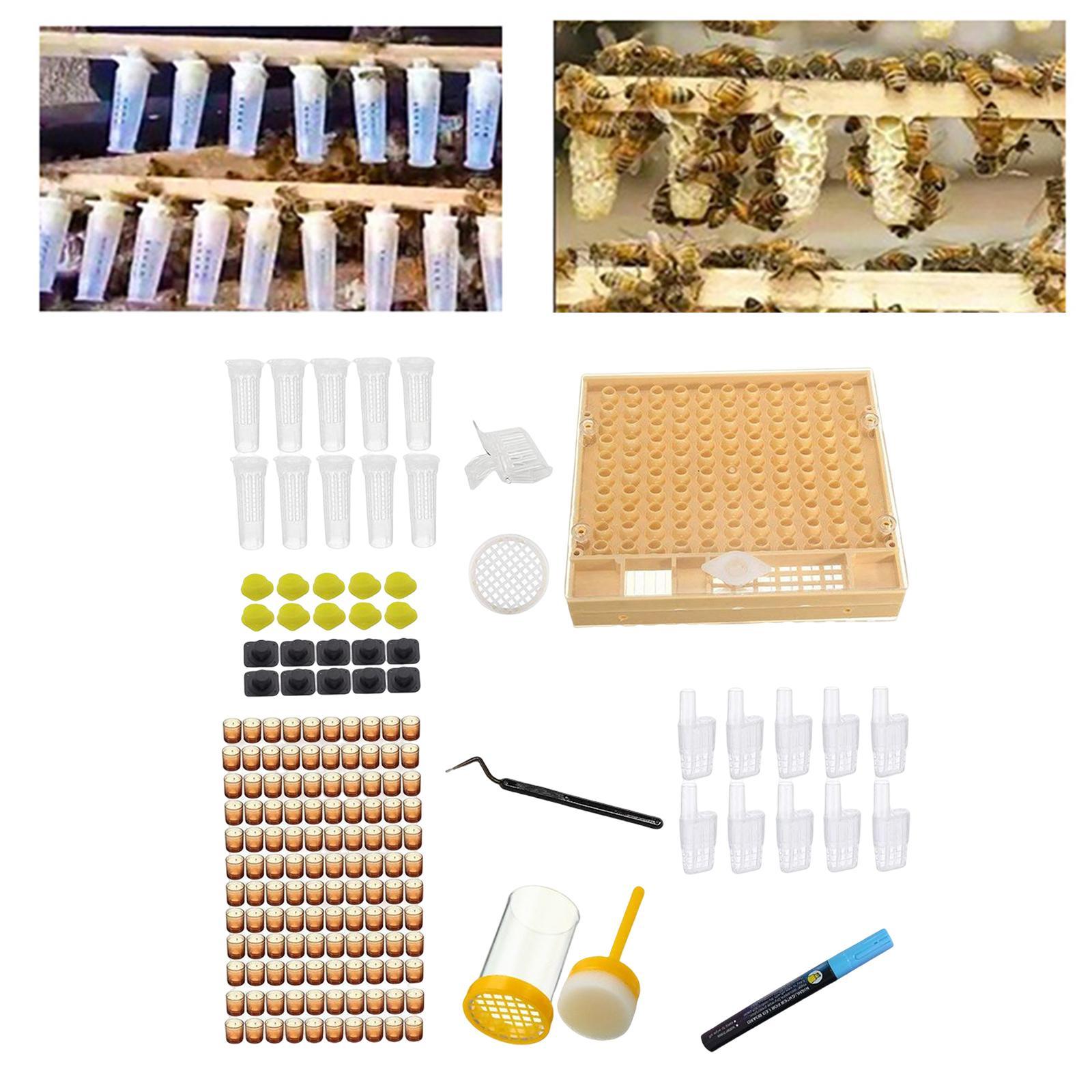 Queen Bee Rearing System Kit for Laying Eggs to Raise Queens Beekeeper Tool