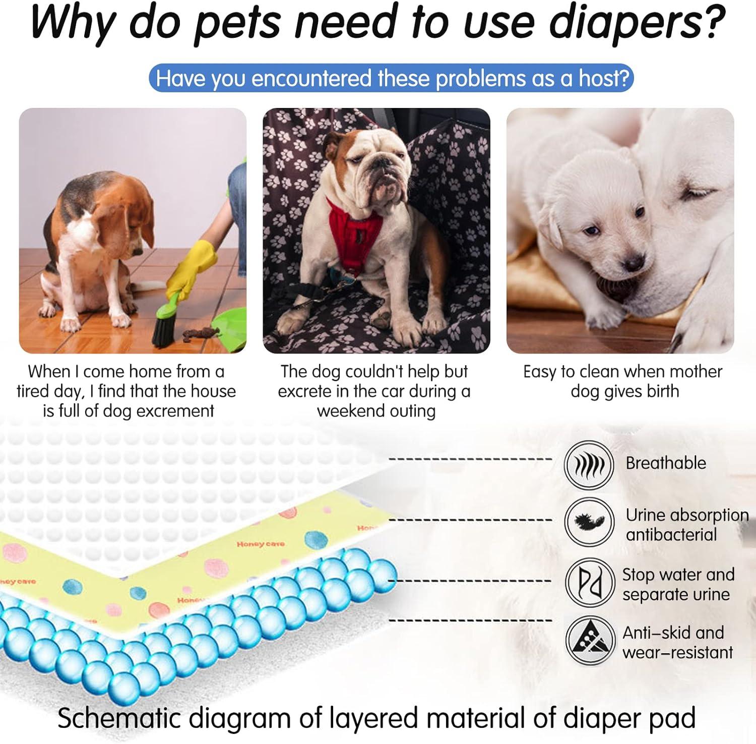 1 gói Miếng huấn luyện chó Miếng huấn luyện chó siêu thấm có thể giặt được