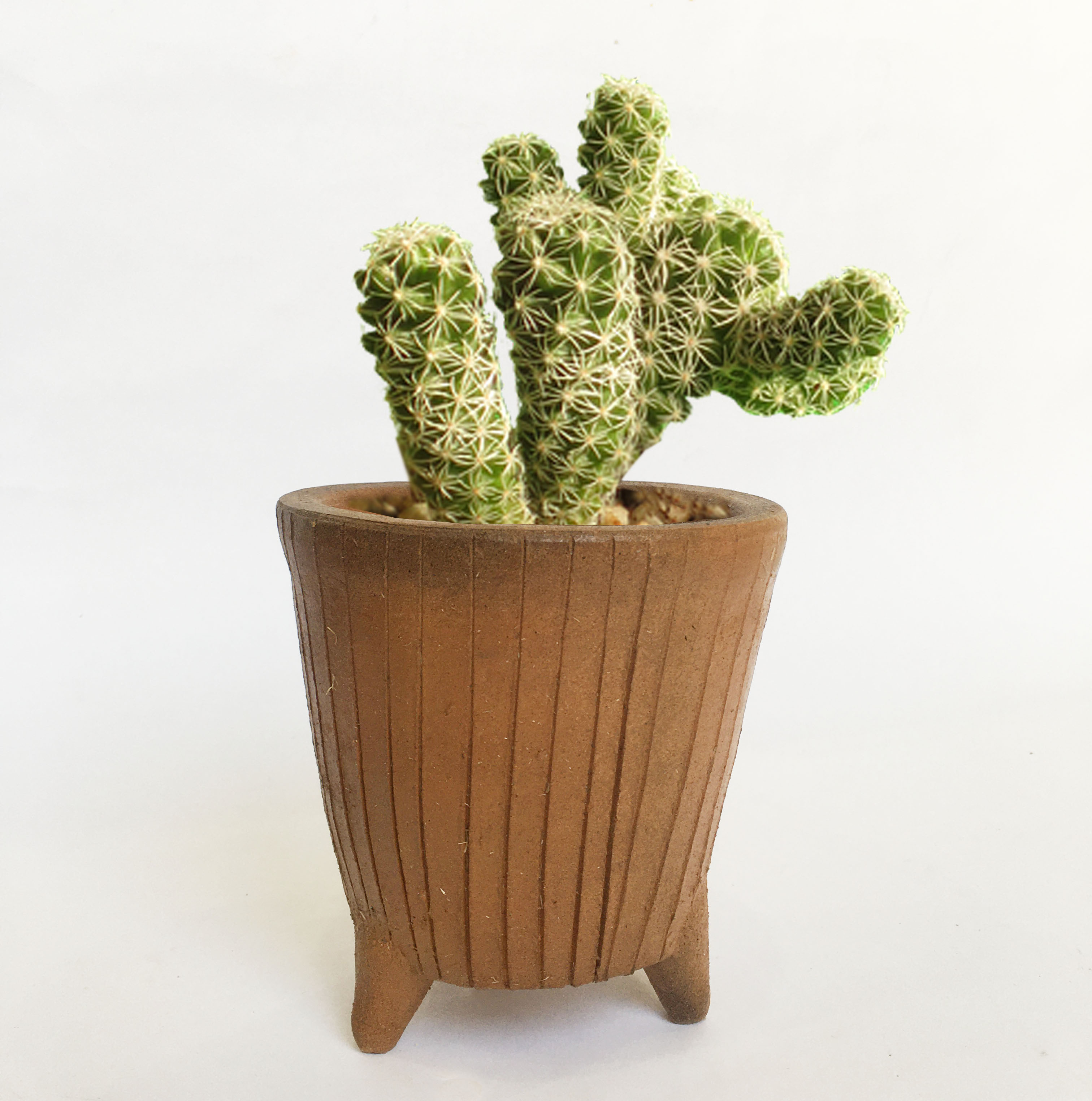 Chậu gốm đất nung ba chân handmade - Chậu gốm thủ công Chămpa Bàu Trúc, trồng sen đá, decor vintage