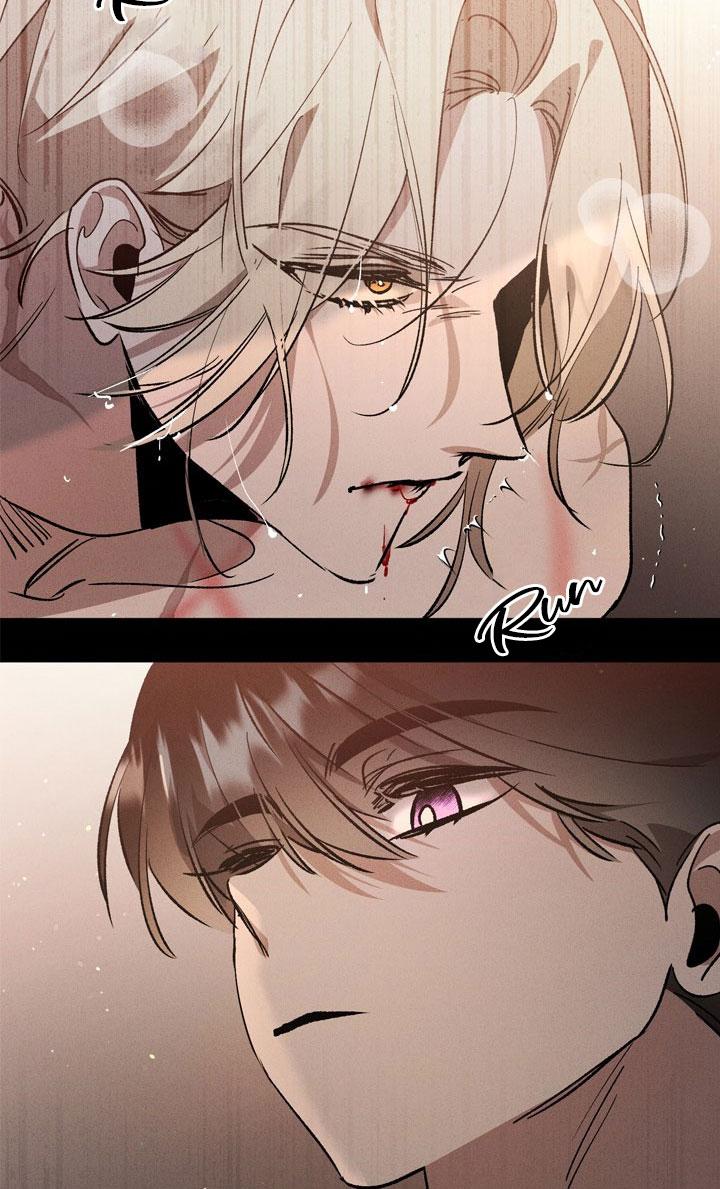 khu vườn hoa lavender chapter 0 5