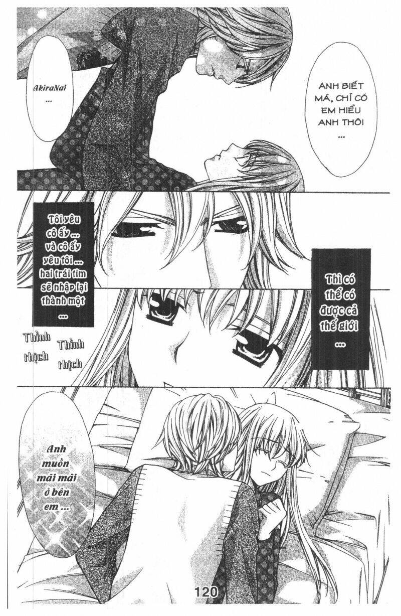 trái tim kim cương chapter 3 120