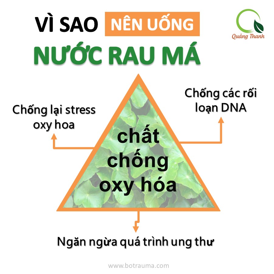 Bột rau má sấy lạnh Quảng Thanh, bịch 50gr - Giải độc, mát gan, thanh nhiệt cơ thể, giảm mụn, đẹp da