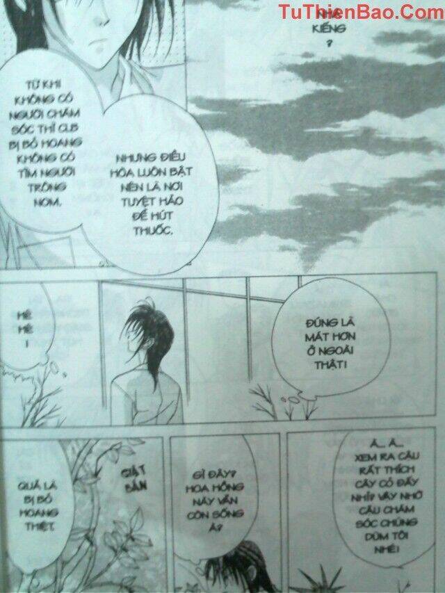 nguyện ước dưới ánh sao chapter 3 19