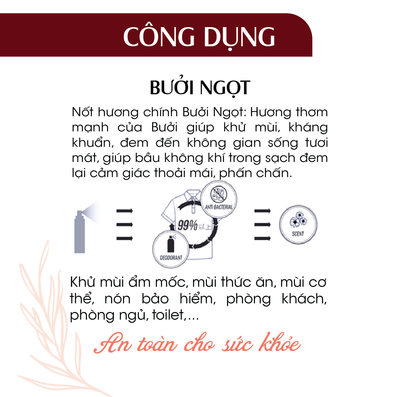 Combo 2 chai Xịt Phòng Tinh Dầu Bưởi Úc Hữu Cơ Organic 24Care 100ML/Chai - Kháng khuẩn - Khử mùi hôi - Đuổi muỗi, côn trùng - Hương thơm thư giãn.