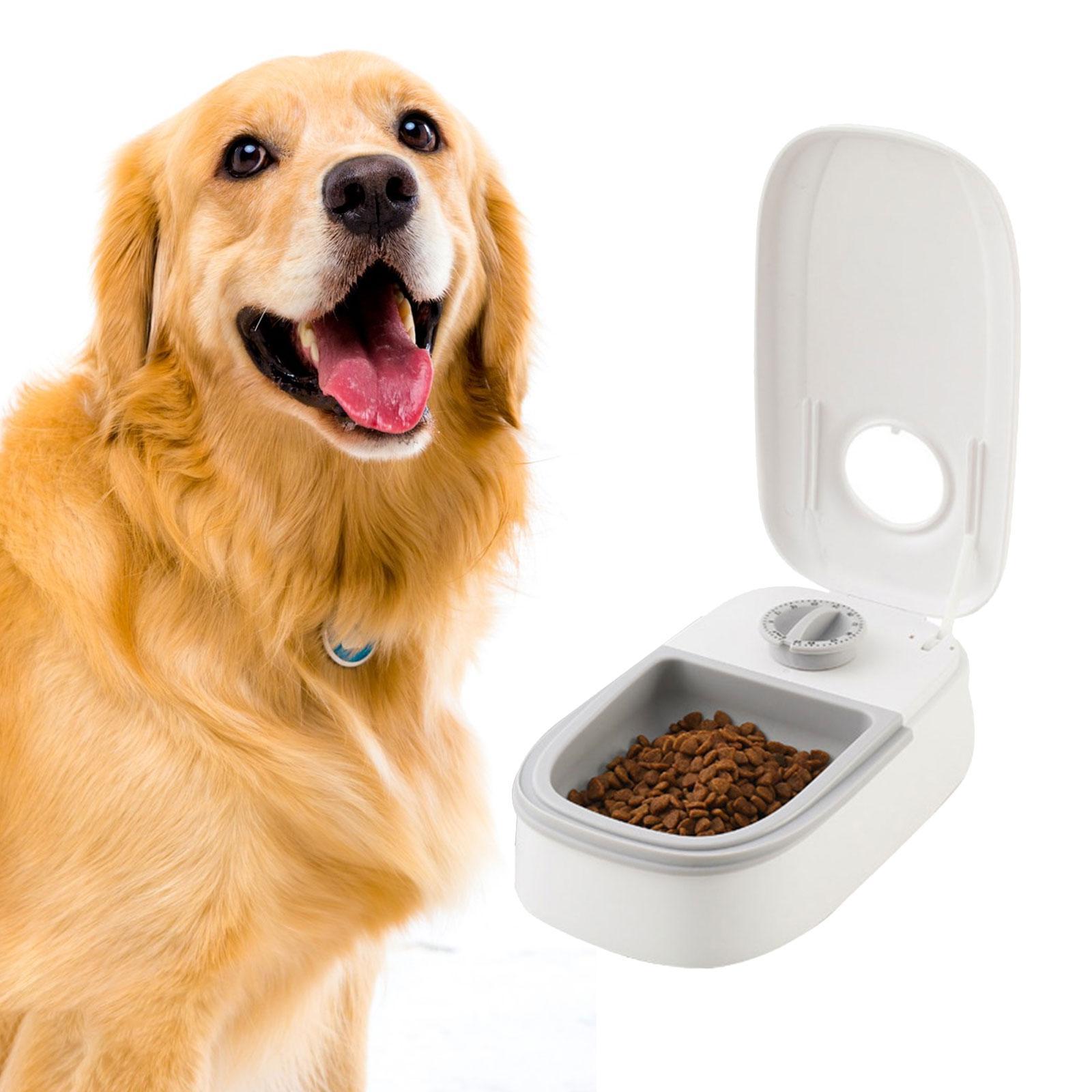 Automatic Cat Feeders Dog Cat Food Dispenser with 48H Timer Smart Large