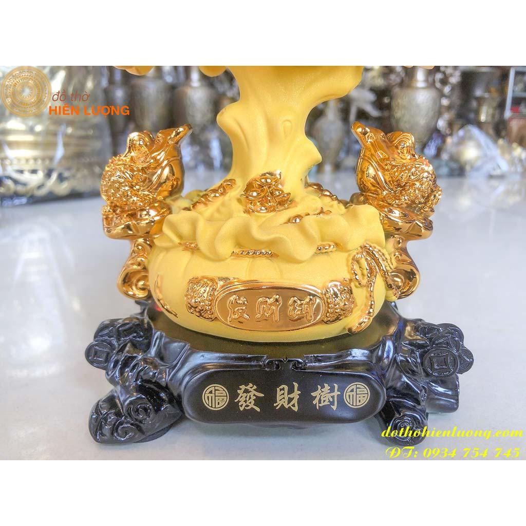 Cây Kim Tiền Bằng Đá