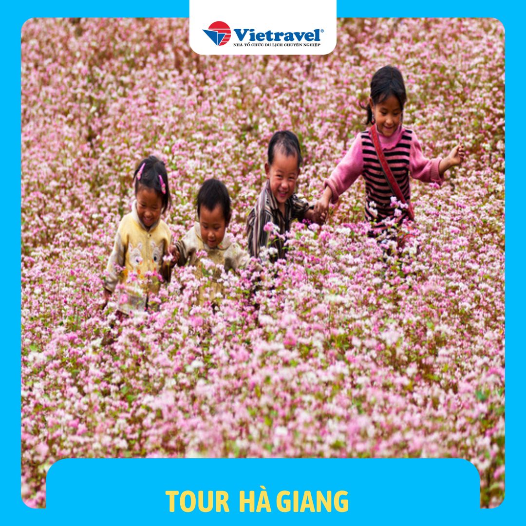 Mùa hoa tam giác mạch: Hà Giang - Lũng Cú - Đồng Văn - Mã Pì Lèng