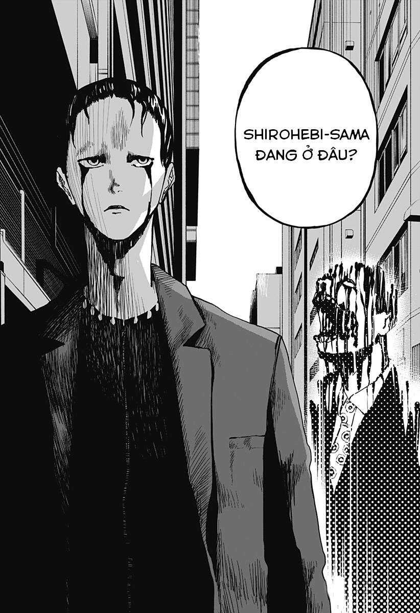 stage s chapter 9 16